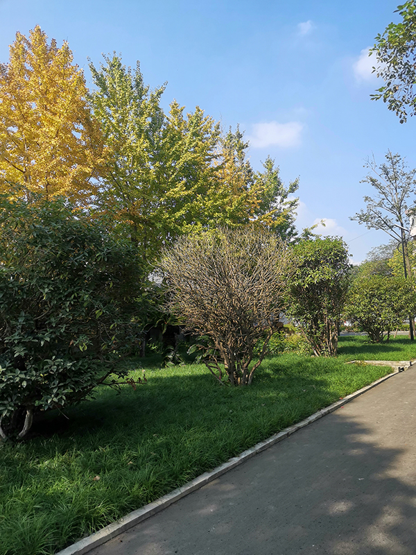 米兰web版登录入口