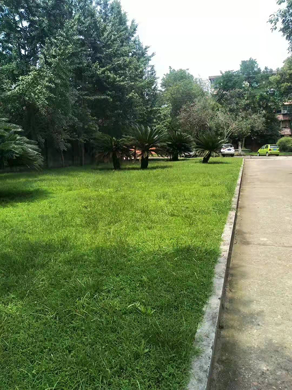 米兰web版登录入口